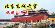 欧亚性网站操B视频中国北京-东城古宫旅游风景区
